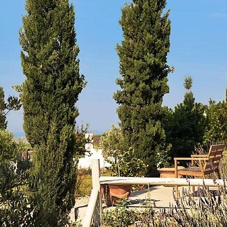 Christou Estate & Villas Pýrgos Екстериор снимка