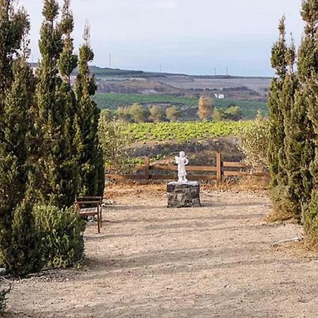 Christou Estate & Villas Pýrgos Екстериор снимка